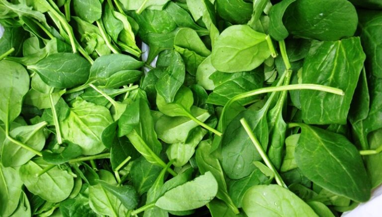 Czy wiesz dlaczego warto jeść szpinak?