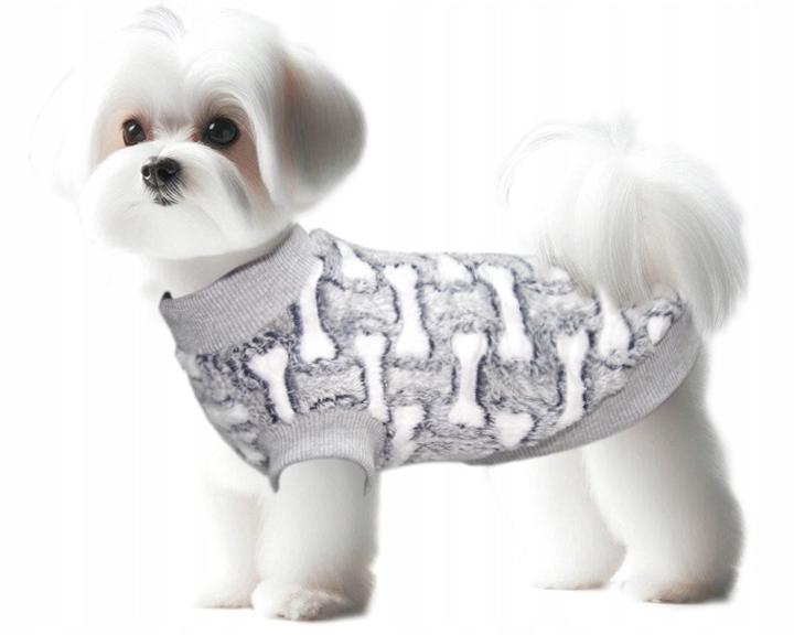 Jak samodzielnie uszyć piękne ubranka dla psów – poradnik krok po kroku