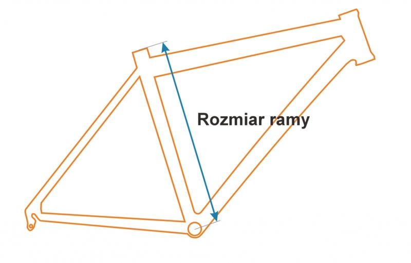 Jaki rozmiar ramy będzie najlepszy dla osoby o wzroście 170 cm?